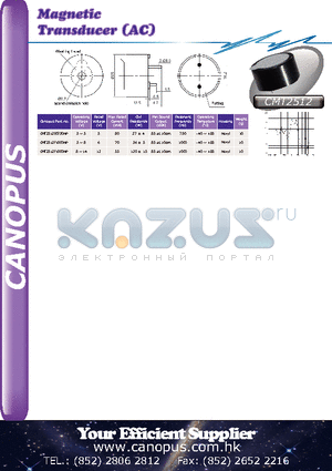 CMT2512E0730NP datasheet - Magnetic Transducer (AC)