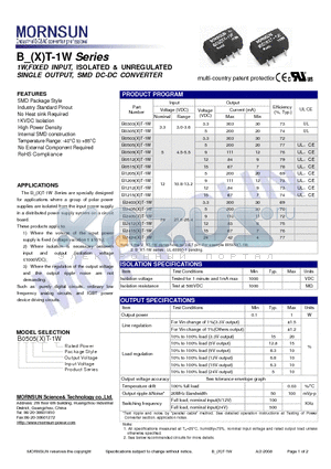 B0503XT-1W datasheet - SINGLE OUTPUT, SMD DC-DC CONVERTER