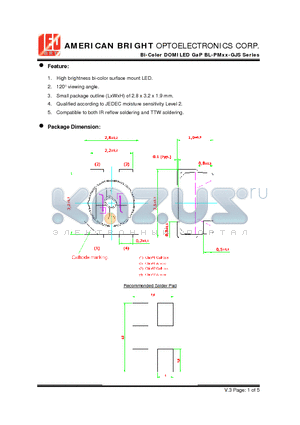 BL-PMYG-GJS datasheet - Bi-Color DOMILED GaP High brightness bi-color surface mount LED.