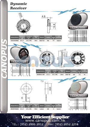 CDR2804 datasheet - Dynamic Receiver