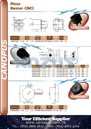 CPB2924IC35BW datasheet - Piezo Buzzer (DC)