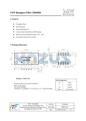 250456B datasheet - SAW Bandpass Filter