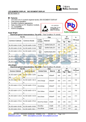 BL-SE1000A-11G-1 datasheet - LED NUMERIC DISPLAY, BIG SEGMENT DISPLAY