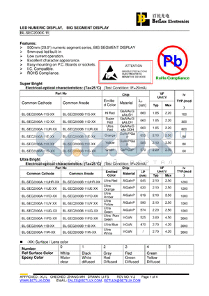 BL-SEC2000A-11B-XX datasheet - LED NUMERIC DISPLAY, BIG SEGMENT DISPLAY