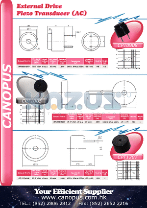 CPT0908H29TP datasheet - External Drive Piezo Transducer (AC)