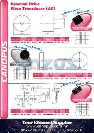 CPT1306C datasheet - External Drive Piezo Transducer (AC)