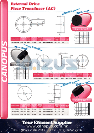 CPT1604G40BW datasheet - External Drive Piezo Transducer (AC)