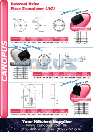 CPT1709G20NP datasheet - External Drive Piezo Transducer (AC)