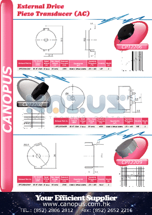 CPT2206H25LP datasheet - External Drive Piezo Transducer (AC)