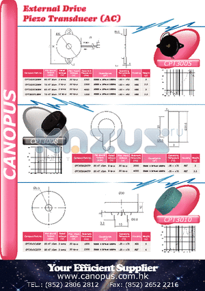 CPT3010C25TP datasheet - External Drive Piezo Transducer (AC)