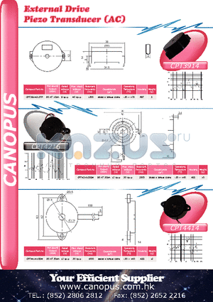 CPT3914G13TP datasheet - External Drive Piezo Transducer (AC)