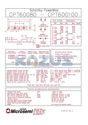 CPT600100 datasheet - SCHOTTKY POWERMOD