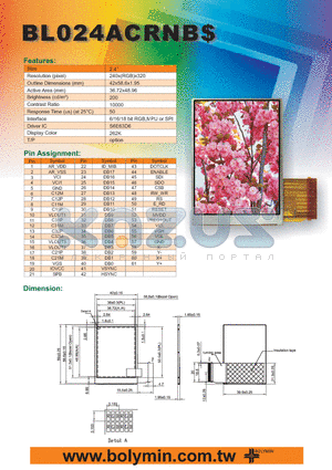 BL024ACRNB datasheet - Resolution Outine Dimensions