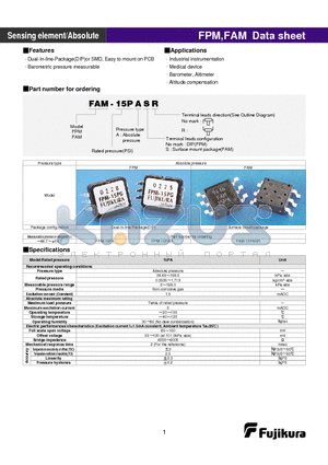 FPM-15PAR datasheet - Sensing element / Absolute