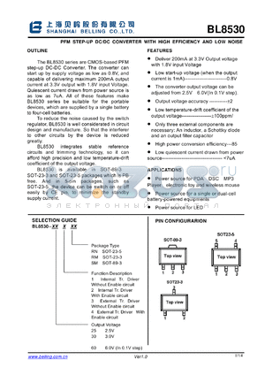 BL8530 datasheet - PFM STEP-UP DC/DC CONVERTER WITH HIGH EFFICIENCY AND LOW NOISE