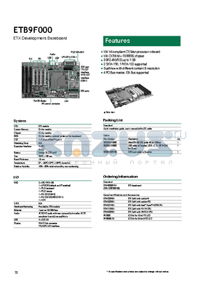 ETB9F000 datasheet - DualView with different content & resolution