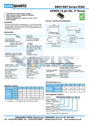EV14GT33-200.00-2.5-30 datasheet - HCMOS 14 pin DIL, V Group