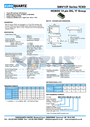 EV15T33-200.00-2.5-30 datasheet - HCMOS 14 pin DIL, V Group