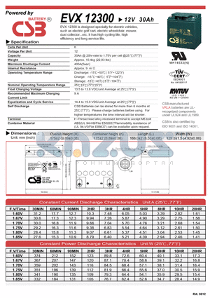 EVX12300 datasheet - designed specially for electric vehicles