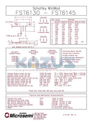 FST6140 datasheet - Schottky MiniMod