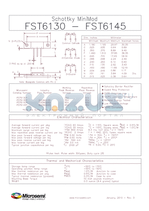 FST6140 datasheet - Schottky MiniMod