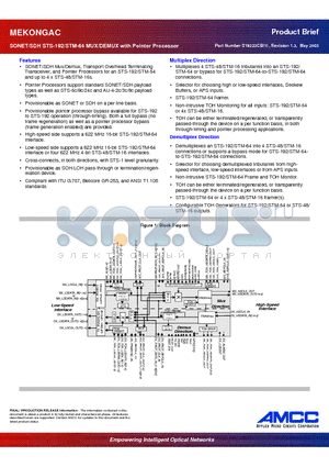 CS19223CBI11 datasheet - SONET/SDH STS-192/STM-64 MUX/DEMUX with Pointer Processor