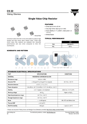 CS22-100KF0016 datasheet - Single Value Chip Resistor