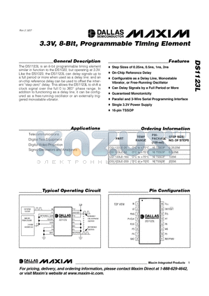 DS1123LE-200 datasheet - 3.3V, 8-Bit, Programmable Timing Element
