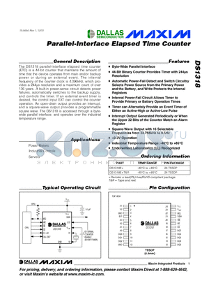 DS1318 datasheet - Parallel-Interface Elapsed Time Counter