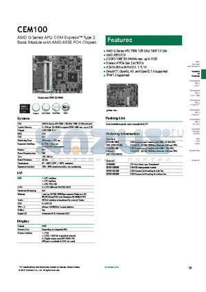 CEM100-T56N datasheet - AMD A55E FCH