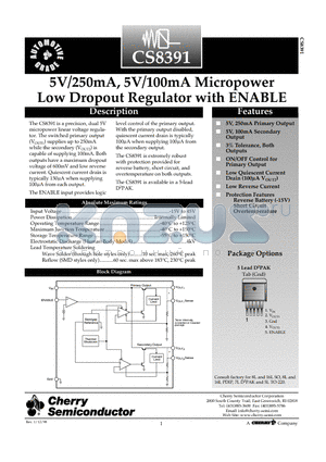 CS8391YDP5 datasheet - 5V/250mA, 5V/100mA Micropower Low Dropout Regulator with ENABLE