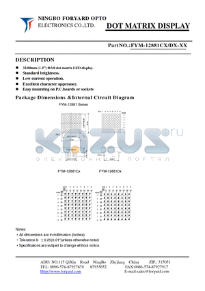 FYM-12881DX-0 datasheet - DOTMATRIX DISPLAY