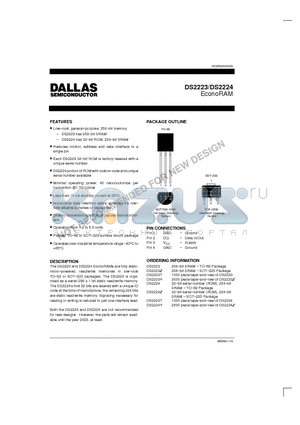 DS2223 datasheet - EconoRAM