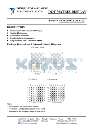 FYM-20881AX-4 datasheet - DOTMATRIX DISPLAY