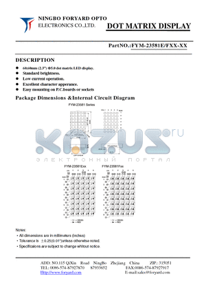 FYM-23581FXX-1 datasheet - DOTMATRIX DISPLAY