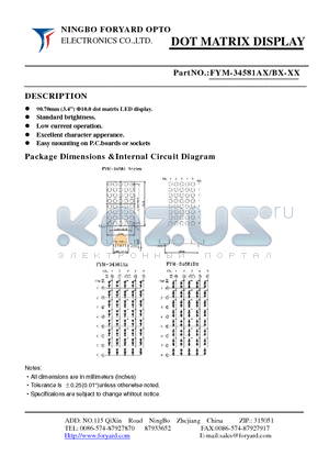 FYM-34581AX-1 datasheet - DOTMATRIX DISPLAY