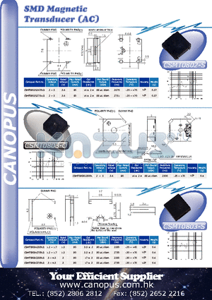 CSMT0802D2670LS datasheet - SMD Magnetic Transducer (AC)