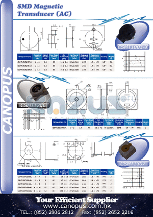 CSMT1003D3100LX datasheet - SMD Magnetic Transducer (AC)