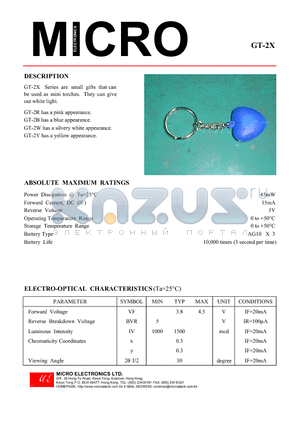 GT-2W datasheet - GT-2X Series are small gifts that can be used as mini torches. They can give out white light