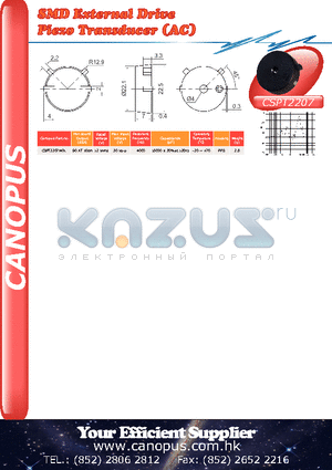 CSPT2207I40L datasheet - SMD External Drive Piezo Transducer (AC)