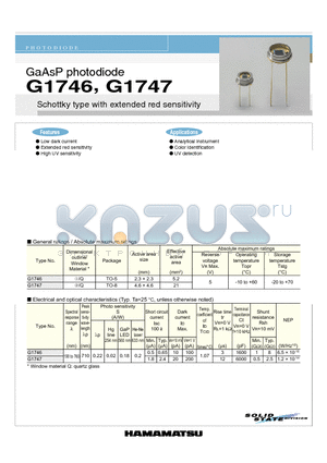 G1746 datasheet - GaAsP photodiode