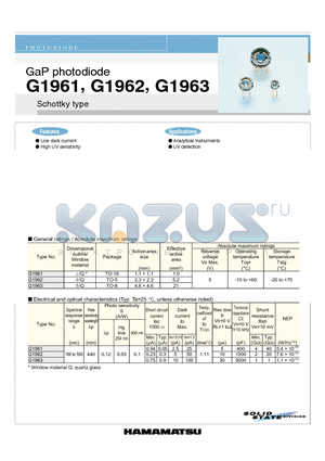 G1962 datasheet - GaP photodiode