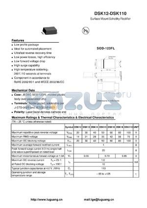DSK16 datasheet - Surface Mount Schottky Rectifier