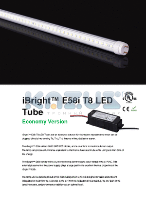 E58I datasheet - E58i T8 LED