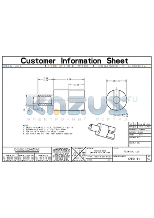 H2051-01 datasheet - TERMINAL LUG