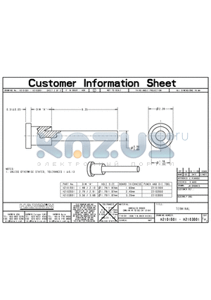 H2103B01 datasheet - TERMINAL