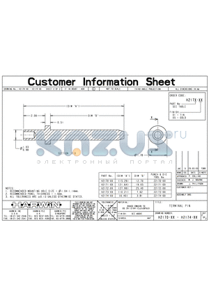 H2171-05 datasheet - TERMINAL PIN