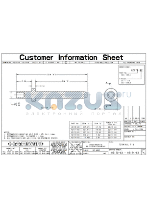 H2174-01 datasheet - TERMINAL PIN