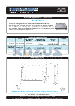 FBGI-2.13G datasheet - FILTER