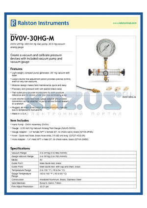 DV0V-30HG-M datasheet - DV0V pump